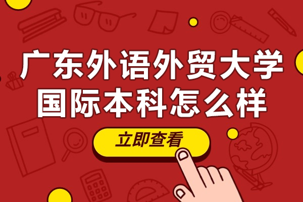 广外国际本科项目深度解析