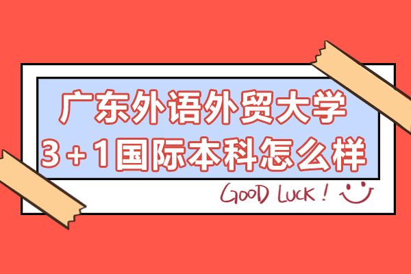 广外3+1国际本科深度解析