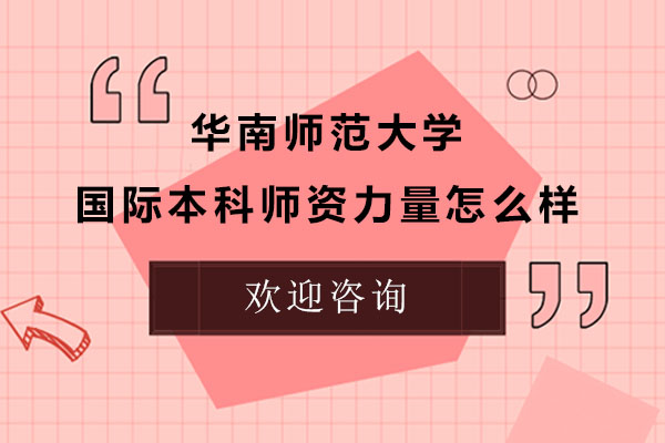 华师国际本科师资全景解析