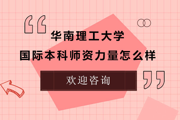 华南理工国际本科教师团队深度解析