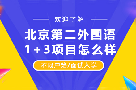 深度解析北京二外国际本科1+3项目优势