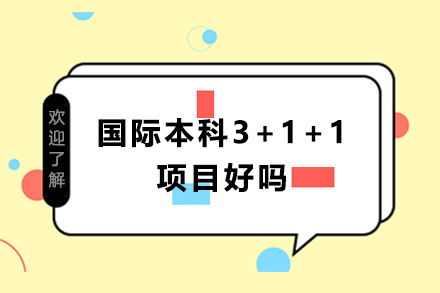 国际本科3+1+1项目好吗