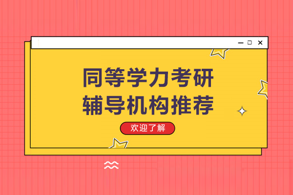 2024权威考研辅导深度解析