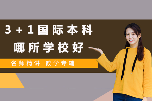 北京国际化人才培养新路径深度解析