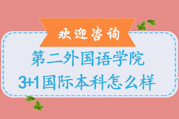 北二外3+1国际本科特色解析
