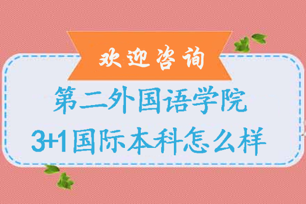 北京第二外国语学院3+1国际本科怎么样