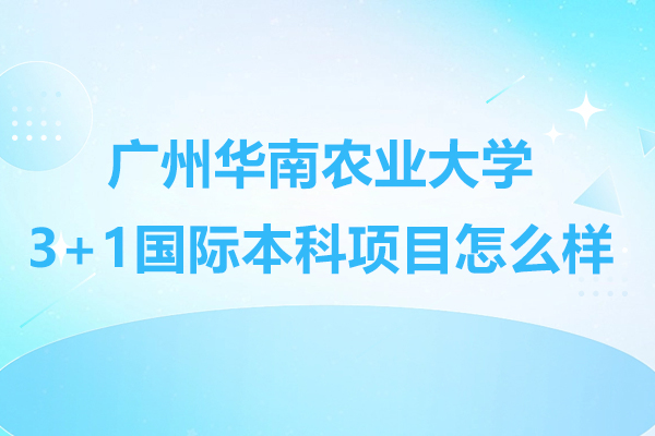 广州华南农业大学国际本科项目深度解析