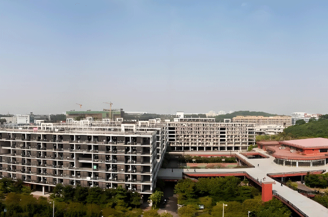 学校俯瞰