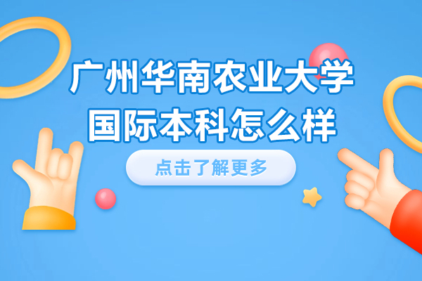 华南农大国际本科深度解析