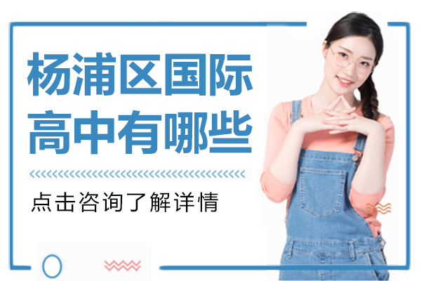上海杨浦区国际高中有哪些