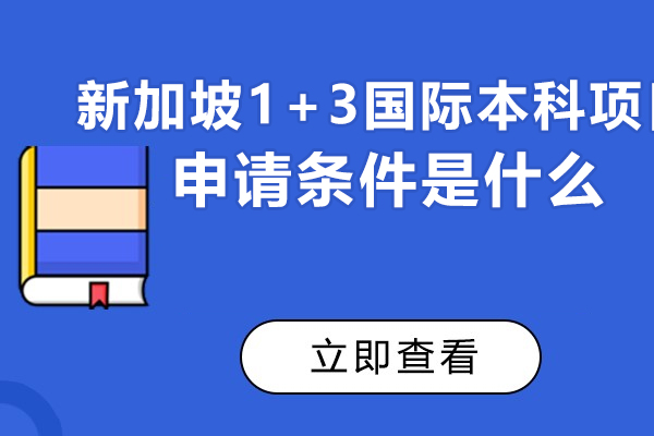 新加坡1+3国际本科项目申请条件是什么?