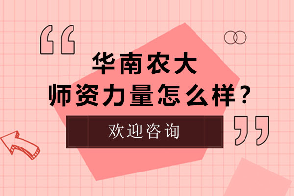 华南农大国际教育学院师资团队解析：中外如何培养国际化人才