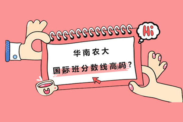 华南农大国际班录取标准深度解读