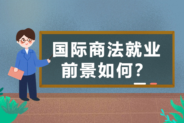 国际商法职业发展路径深度解析