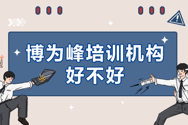 深圳博为峰培训机构好不好-怎么样