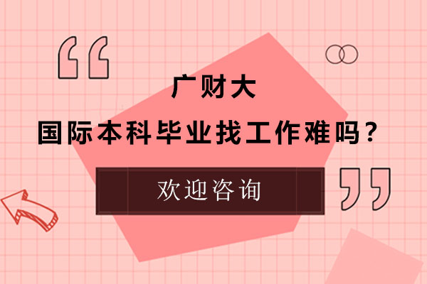 广财大国际本科竞争力深度解析