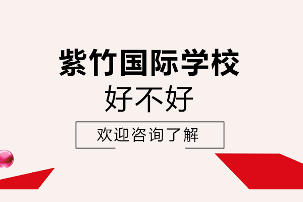 上海紫竹国际学校课程体系解析与升学优势