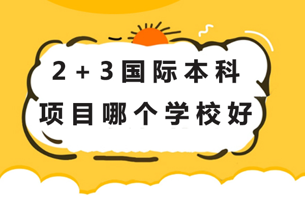 2+3国际本科项目哪个学校好