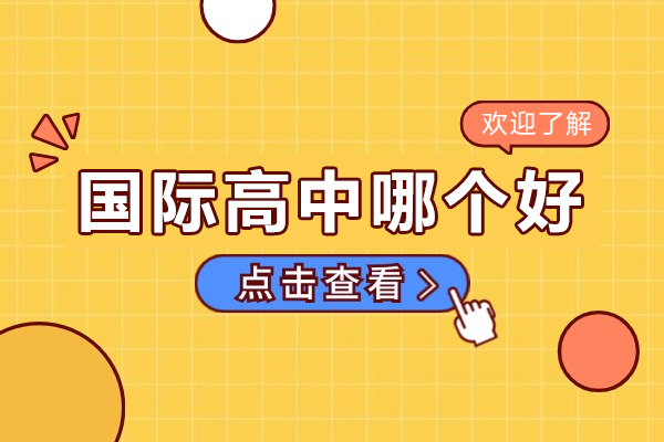 上海圣华紫竹国际高中课程体系深度解析
