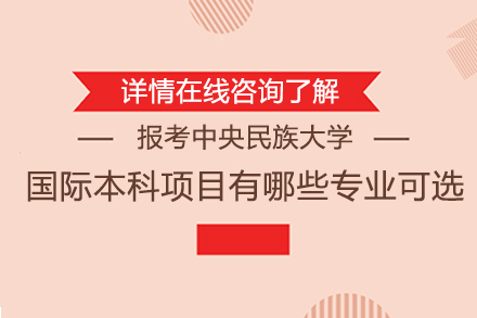 报考中央民族大学国际本科项目有哪些专业可选