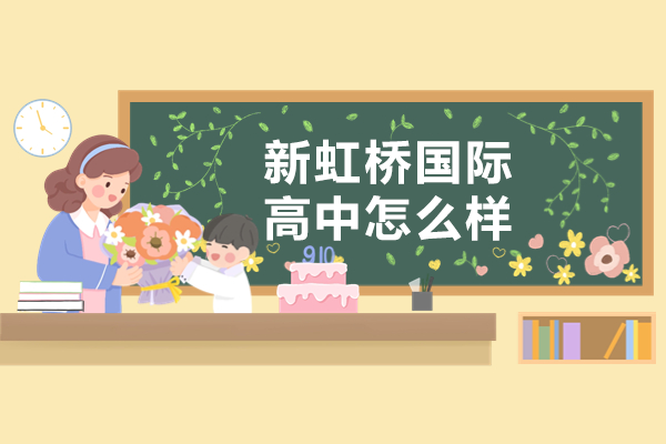 上海新虹橋國際高中深度解析
