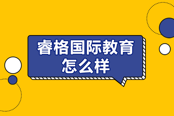 上海睿格国际教育怎么样