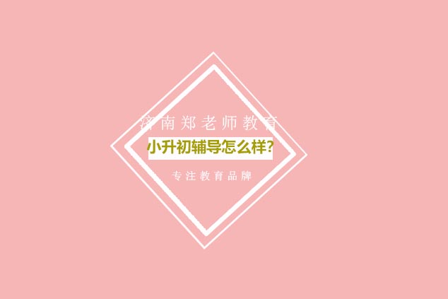 小升初衔接教育深度解析