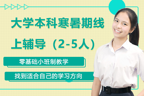 大学本科寒暑期线上班课（2-5人）