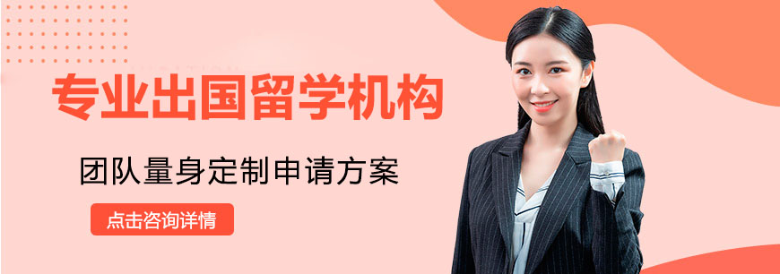 留学申请成功案例