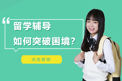 海外求学护航指南：上海伽利略学术辅导方案解析