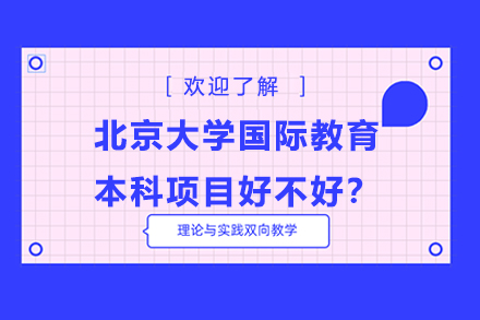 北京大学国际教育本科项目好不好？