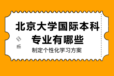 北京大学国际本科专业有哪些