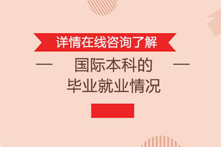 北京大学国际本科职业发展全景解析