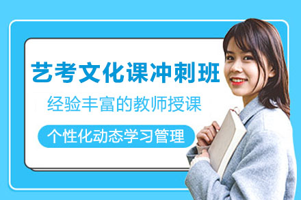 广州艺考文化课冲刺班