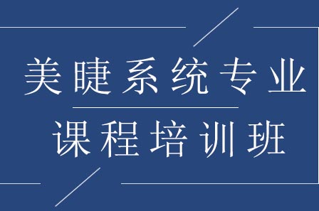 美睫系统专业课程培训班