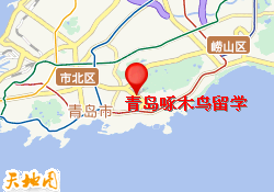 青岛啄木鸟留学