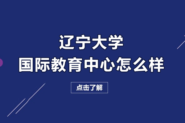 辽宁大学国际教育中心深度解析