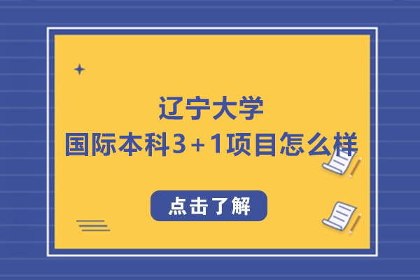 辽宁大学国际本科3+1项目怎么样