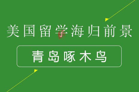 美国海归前景深度剖析