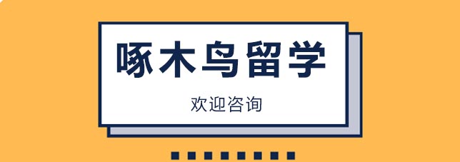 美国留学规划案例