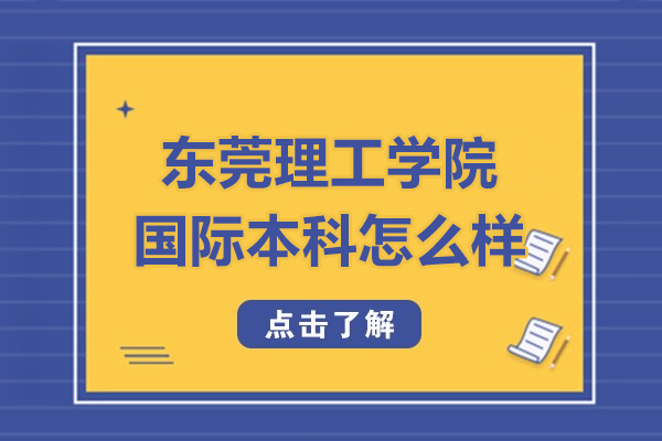 东莞理工学院国际本科怎么样