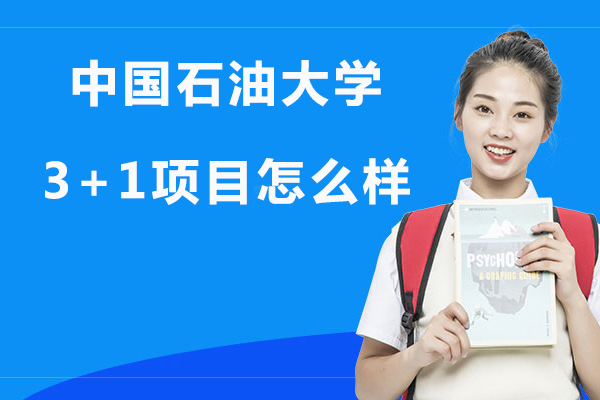 中国石油大学国际本科3+1项目深度解析