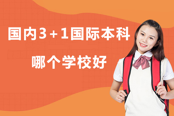 中国石油大学3+1国际本科项目深度解析