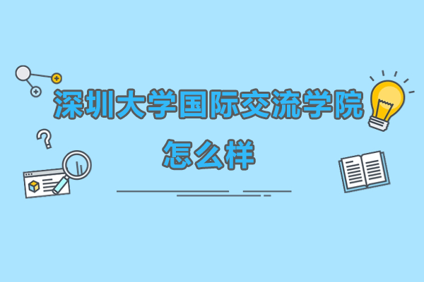 深圳大学国际交流学院深度解析