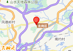 深圳龙岗中心城校区