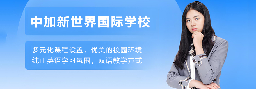 中加新世界国际学校全景