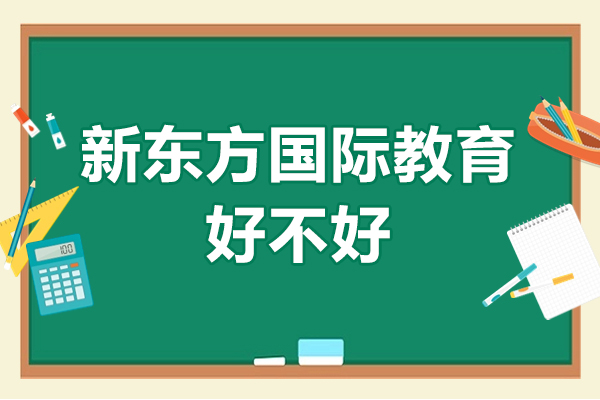 中山新东方国际教育好不好