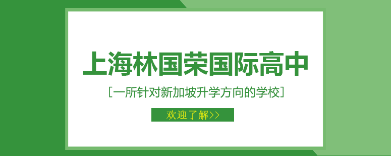 林国荣国际高中校园全景