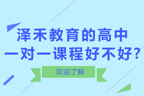 青岛泽禾教育的高中一对一课程好不好?