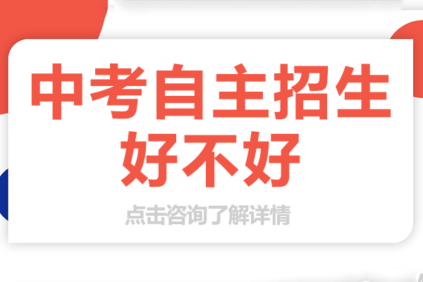 深圳中考自主招生深度解析与选择指南